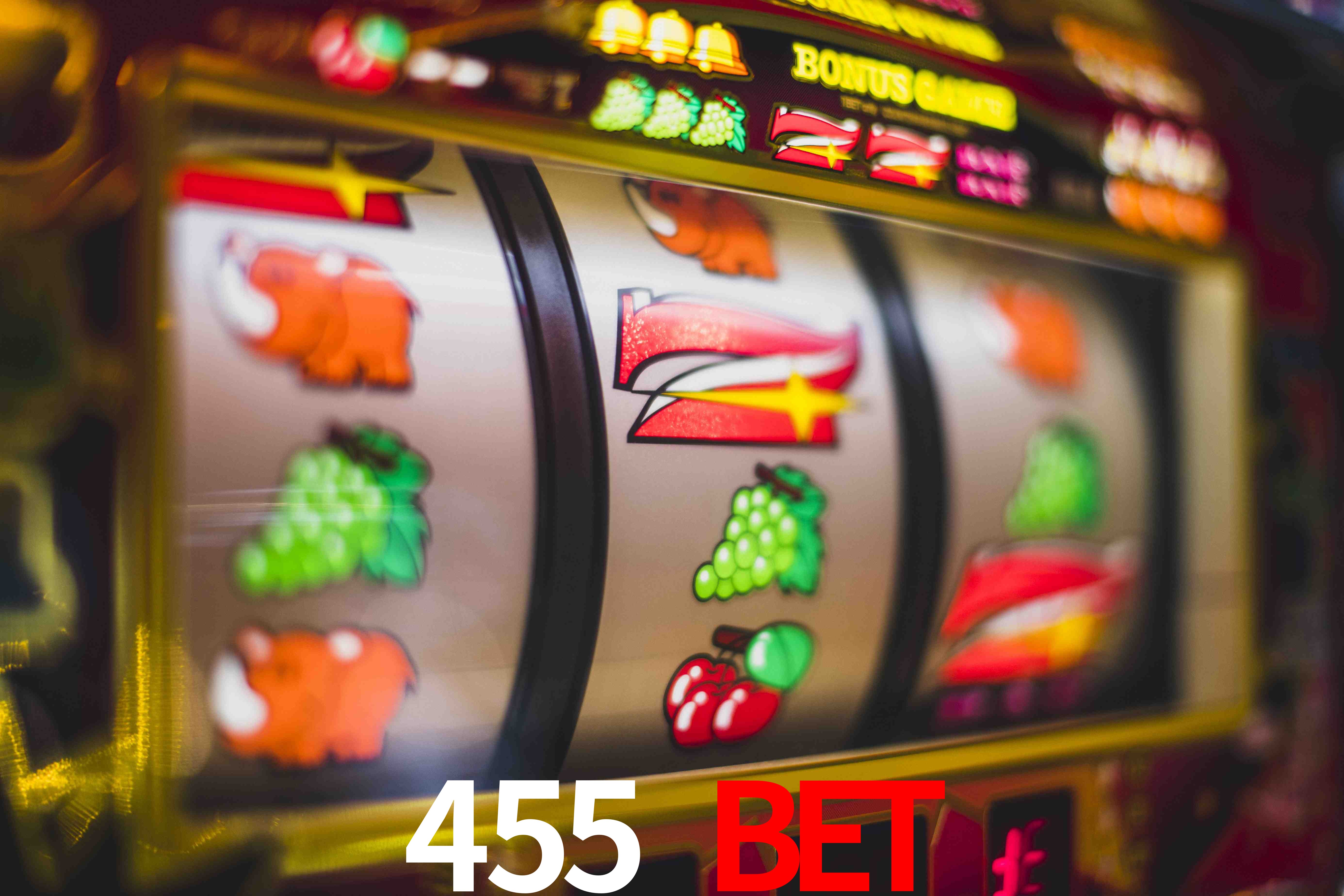 Roulette Table 455 bet
